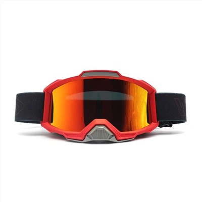 Gogls Mx Tinted